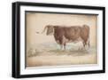 Black Frame