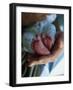 A Father Holding His Baby's Feet-Mitch Diamond-Framed Photographic Print