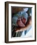 A Father Holding His Baby's Feet-Mitch Diamond-Framed Photographic Print