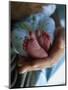 A Father Holding His Baby's Feet-Mitch Diamond-Mounted Photographic Print