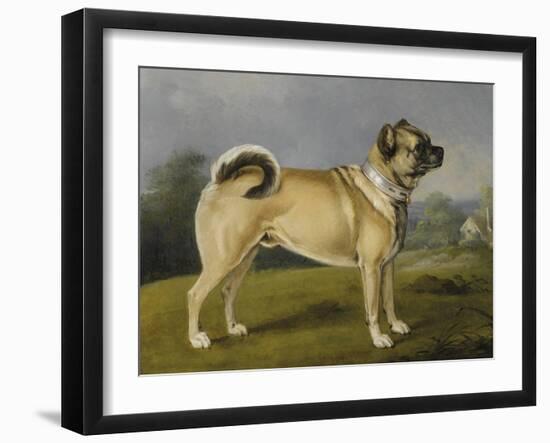 A Favorite Pug-Henry Bernard Chalon-Framed Art Print