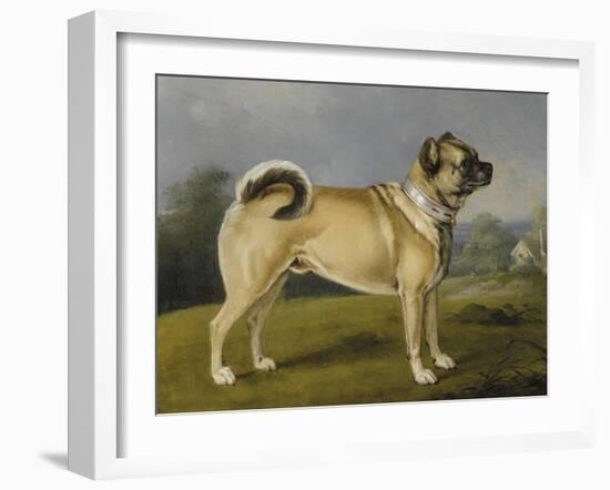 A Favorite Pug-Henry Bernard Chalon-Framed Art Print