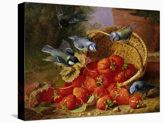 A Feast of Strawberries (Blue Tits) by Eloise Harriet Stannard-Eloise Harriet Stannard-Stretched Canvas