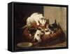 A Feathered Gift-Ronner-Knip Henriette-Framed Stretched Canvas