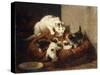 A Feathered Gift-Ronner-Knip Henriette-Stretched Canvas