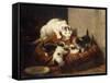 A Feathered Gift-Ronner-Knip Henriette-Framed Stretched Canvas