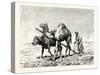 A Fellah Ploughing, Egypt, 1879-null-Stretched Canvas