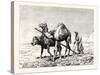 A Fellah Ploughing, Egypt, 1879-null-Stretched Canvas