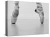 A female ballet dancer-null-Stretched Canvas