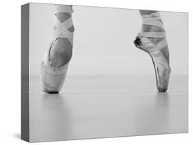 A female ballet dancer-null-Stretched Canvas
