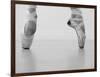 A female ballet dancer-Tetra Studio-Framed Art Print