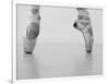 A female ballet dancer-Tetra Studio-Framed Art Print