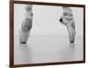 A female ballet dancer-Tetra Studio-Framed Art Print