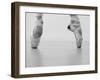 A female ballet dancer-Tetra Studio-Framed Art Print