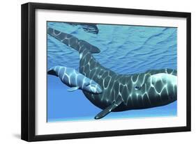 A Female Bowhead Whale Swims with Her Calf Through Ocean Waters-null-Framed Art Print