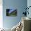 A Female Climber Tackles a Steep Cliff at Loven, Near Aurland, Western Norway, Scandinavia, Europe-David Pickford-Stretched Canvas displayed on a wall