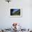 A Female Climber Tackles a Steep Cliff at Loven, Near Aurland, Western Norway, Scandinavia, Europe-David Pickford-Framed Photographic Print displayed on a wall