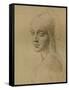 A Female Head, C1472-C1519 (1883)-Leonardo da Vinci-Framed Stretched Canvas