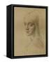 A Female Head, C1472-C1519 (1883)-Leonardo da Vinci-Framed Stretched Canvas