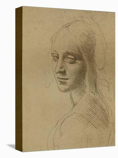 A Female Head, C1472-C1519 (1883)-Leonardo da Vinci-Stretched Canvas