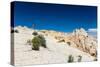 A Female Hiker Walks On Beautiful White Slickrock On Lower Muley Twist Trail In Capitol Reef NP-Ben Herndon-Stretched Canvas