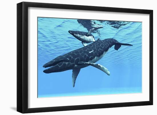 A Female Humpback Whale Swims with Her Calf Through Ocean Waters-null-Framed Art Print