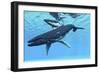 A Female Humpback Whale Swims with Her Calf Through Ocean Waters-null-Framed Art Print