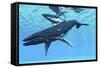 A Female Humpback Whale Swims with Her Calf Through Ocean Waters-null-Framed Stretched Canvas