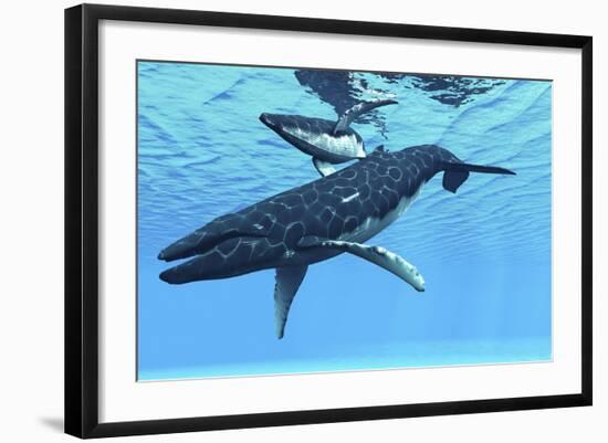 A Female Humpback Whale Swims with Her Calf Through Ocean Waters-null-Framed Art Print