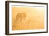 A Female Lion In The Warm Morning Light. Location: Maasai Mara, Kenya-Axel Brunst-Framed Photographic Print