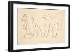 A Female Prisoner and Camel, Illustration from 'Monuments of Nineveh', 1849 (Engraving)-Austen Henry Layard-Framed Giclee Print