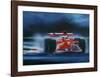 a - Ferrari F399-Victor Spahn-Framed Limited Edition