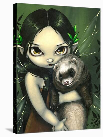 A Ferret and his Fairy-Jasmine Becket-Griffith-Stretched Canvas