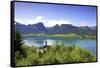 A Ferry Boat on Wolfgangsee Lake, St. Wolfgang, Austria, Europe,-Neil Farrin-Framed Stretched Canvas
