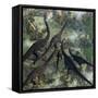 A Few Apatosaurus Join the Moving Herd-Stocktrek Images-Framed Stretched Canvas