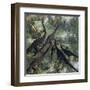 A Few Apatosaurus Join the Moving Herd-Stocktrek Images-Framed Art Print