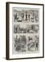 A Few Days' Sport with Hobart Pasha in Asia Minor-null-Framed Giclee Print