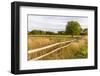 A field in Ipswich, Massachusetts.-Jerry & Marcy Monkman-Framed Photographic Print