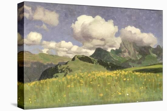 A Field of Marigolds, Lower Alps, 1902-Adrian Scott Stokes-Stretched Canvas