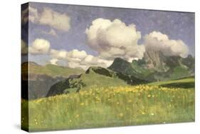 A Field of Marigolds, Lower Alps, 1902-Adrian Scott Stokes-Stretched Canvas