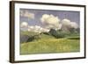 A Field of Marigolds, Lower Alps, 1902-Adrian Scott Stokes-Framed Giclee Print