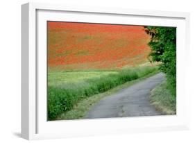 A Field of Red Poppy Flowers-Frank May-Framed Photo