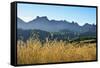 A field of rye at sunset with the mountain range of Pitoes das Junias in the background. Peneda Ger-Mauricio Abreu-Framed Stretched Canvas