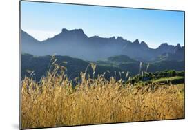 A field of rye at sunset with the mountain range of Pitoes das Junias in the background. Peneda Ger-Mauricio Abreu-Mounted Photographic Print