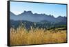 A field of rye at sunset with the mountain range of Pitoes das Junias in the background. Peneda Ger-Mauricio Abreu-Framed Stretched Canvas