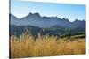 A field of rye at sunset with the mountain range of Pitoes das Junias in the background. Peneda Ger-Mauricio Abreu-Stretched Canvas