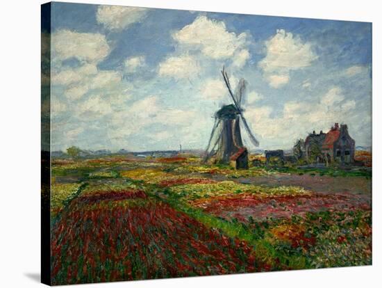 A Field of Tulips in Holland, 1886-Claude Monet-Stretched Canvas