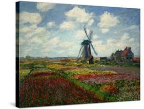 A Field of Tulips in Holland, 1886-Claude Monet-Stretched Canvas