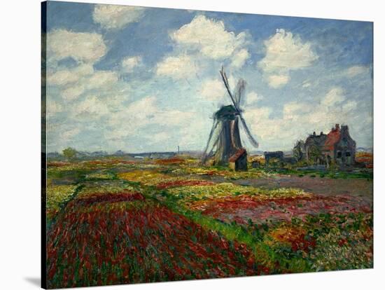 A Field of Tulips in Holland, 1886-Claude Monet-Stretched Canvas
