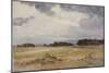 A Field with Groups of Trees, 19Th Century;-John Absolon-Mounted Giclee Print